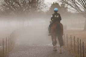 1-25-24 Fog On National Mall Tidal Basin