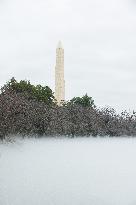 1-25-24 Fog On National Mall Tidal Basin