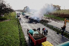 Farmers Block RN165 - Brittany