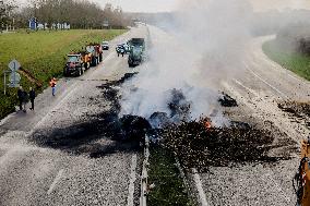 Farmers Block RN165 - Brittany