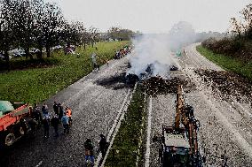 Farmers Block RN165 - Brittany