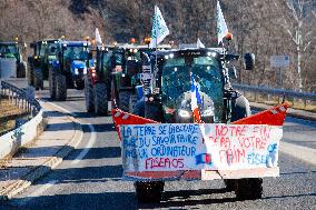 Farmers Protest - Saulce