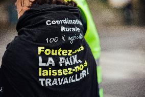 Farmers Protest - Rennes