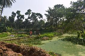 Daily Life On The Outskirts Of Kolkata