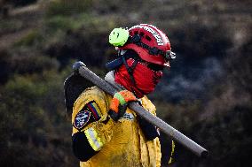 Firefighters Fight Wildfires In Bogota