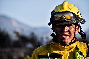 Firefighters Fight Wildfires In Bogota