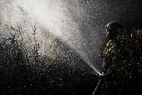 Firefighters Fight Wildfires In Bogota