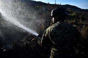 Firefighters Fight Wildfires In Bogota