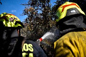 Firefighters Fight Wildfires In Bogota