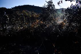 Firefighters Fight Wildfires In Bogota