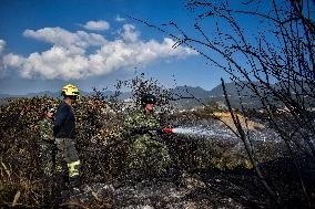 Firefighters Fight Wildfires In Bogota