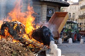 Farmers Protest - Montpellier