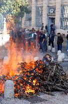 Farmers Protest - Montpellier