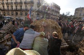 Farmers Protest - Montpellier