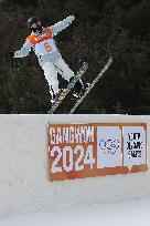 (SP)SOUTH KOREA-HOENGSEONG-WINTER YOUTH OLYMPIC GAMES-FREESTYLE SKIING