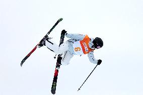 (SP)SOUTH KOREA-HOENGSEONG-WINTER YOUTH OLYMPIC GAMES-FREESTYLE SKIING