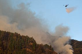 Bogota Fights Wildfires Amid It's Fifth Day Of Fires