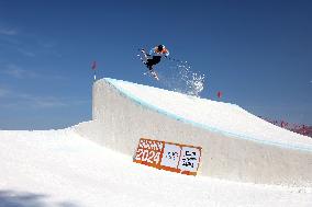 (SP)SOUTH KOREA-HOENGSEONG-WINTER YOUTH OLYMPIC GAMES-FREESTYLE SKIING