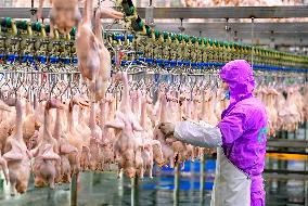 A Meat Duck Processing Enterprise in Chifeng