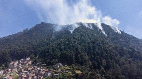 Forest Fires In Colombia