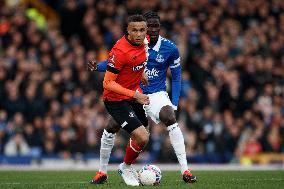 Everton v Luton Town - Emirates FA Cup Fourth Round