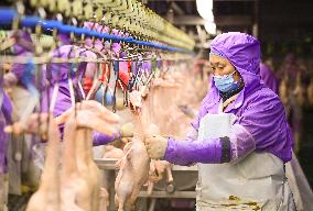 A Meat Duck Processing Enterprise in Chifeng
