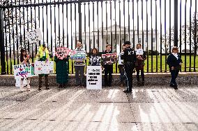 Free Palestine Protesters Out Side The White House