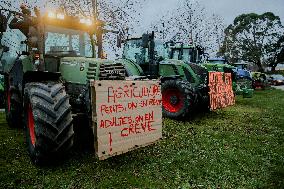 Farmers protest in Bretagne