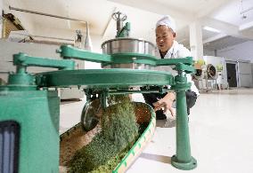 A Tea Processing Workshop in Yichang