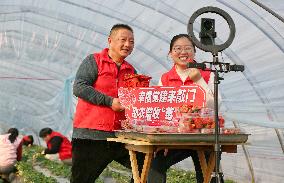 Webcast Promote Agriculture in China