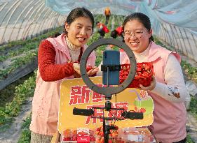 Webcast Promote Agriculture in China