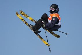 (SP)SOUTH KOREA-HOENGSEONG-WINTER YOUTH OLYMPIC GAMES-FREESTYLE SKIING