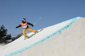 (SP)SOUTH KOREA-HOENGSEONG-WINTER YOUTH OLYMPIC GAMES-FREESTYLE SKIING