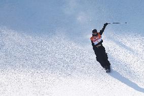 (SP)SOUTH KOREA-HOENGSEONG-WINTER YOUTH OLYMPIC GAMES-FREESTYLE SKIING