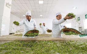 A Tea Processing Workshop in Yichang