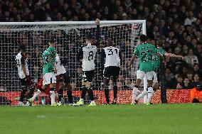 Fulham v Newcastle United - Emirates FA Cup Fourth Round