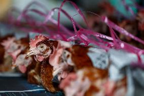 Chickens Wrapped In Newspapers In Sarawak, Malaysia