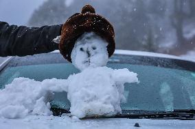 Snowfall In Kashmir
