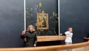 Protesters throwing soup at Mona Lisa painting - Paris