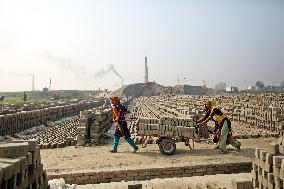 Laborers Work At A Bricks Field In Bangladesh