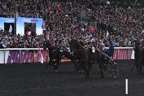 Prix d Amerique - Vincennes