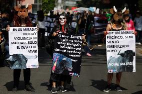 Animal Activists Protest Against The Return Of Bullfighting In Mexico City