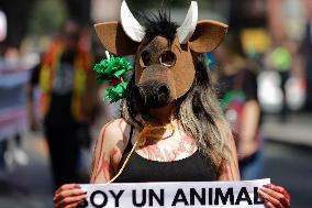 Animal Activists Protest Against The Return Of Bullfighting In Mexico City