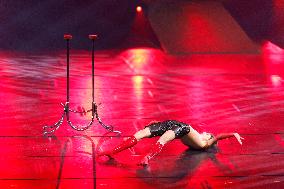 43rd Festival Mondial Du Cirque De Demain - Paris