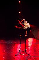 43rd Festival Mondial Du Cirque De Demain - Paris