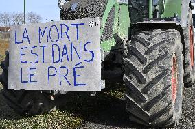 Farmers Block A4 Motorway - Jossigny