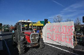 A7 Highway Blocked By Angry Farmers Near Lyon
