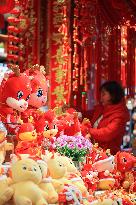 #CHINA-SPRING FESTIVAL-PREPARATION (CN)