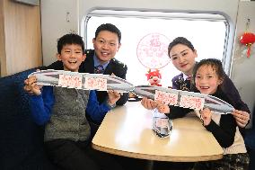 CHINA-NANJING-BULLET TRAIN-SPRING FESTIVAL TRAVEL RUSH (CN)
