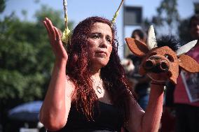 Rally Against Bullfighting in Mexico